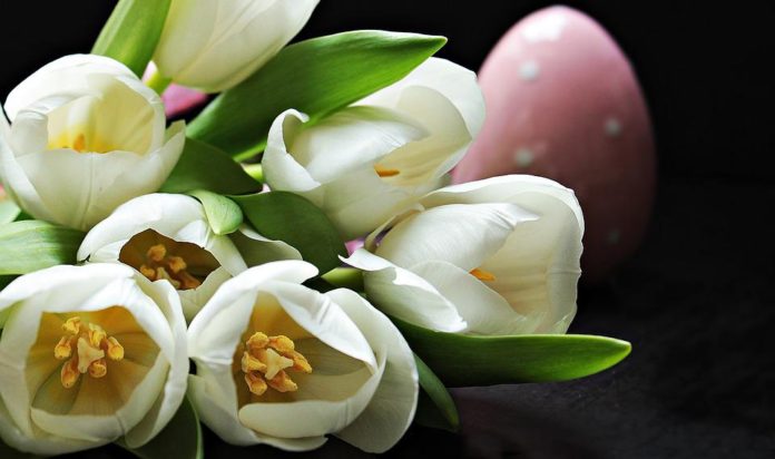 5 flori ideale pentru decorul mesei de Paşte