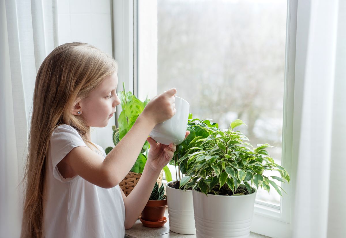 5 plante de apartament sigure pentru copii