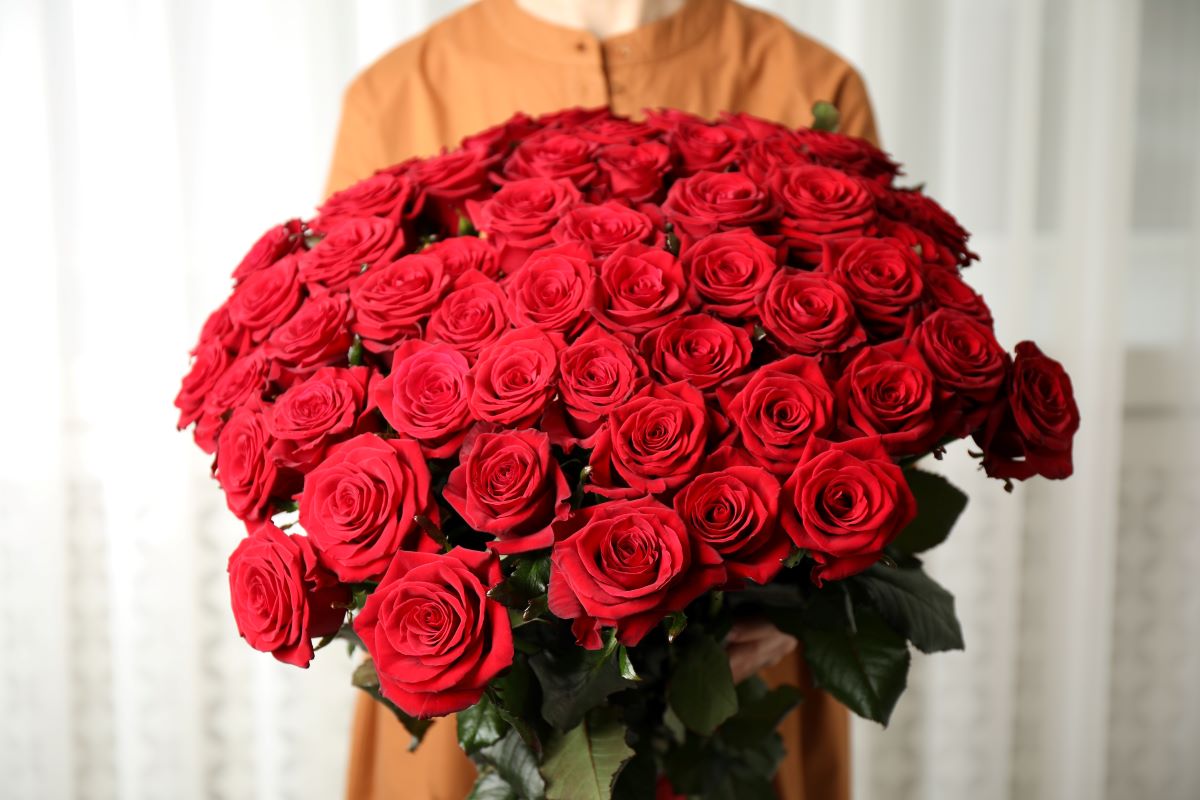 Ce simbolizează trandafirul, cea mai romantică floare