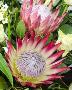 1380184224Aranjament__cu_trandafiri_crini_protea_eustoma_967_5r