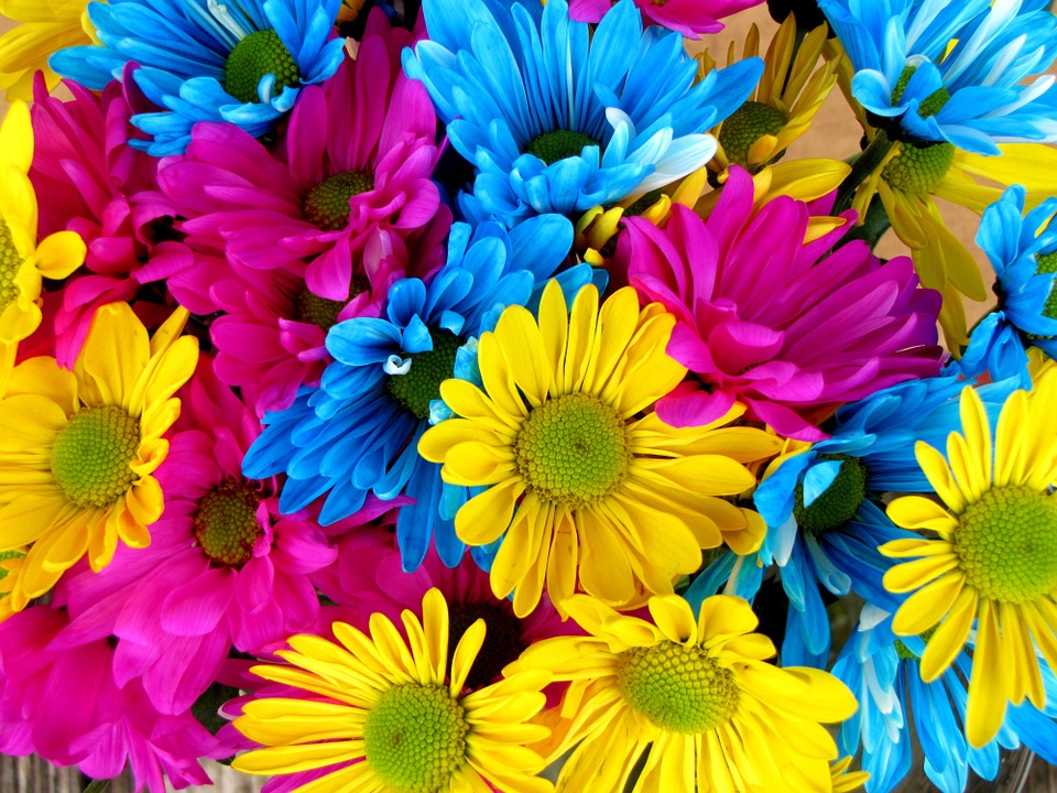 Florile transmit mesaje prin culori!