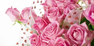 Ce semnifica trandafirii roz