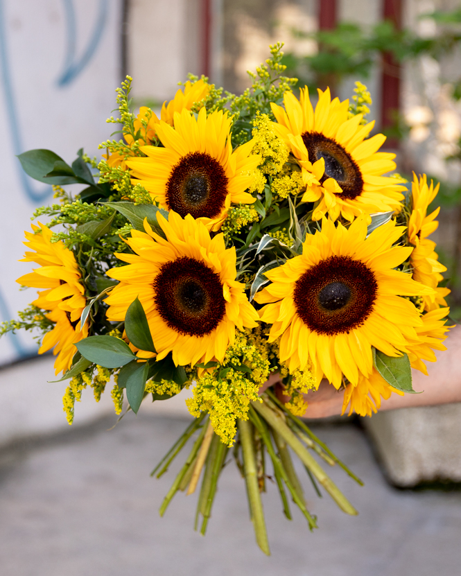 Buchete cu floarea soarelui- ce exprima si cui sa le daruiesti