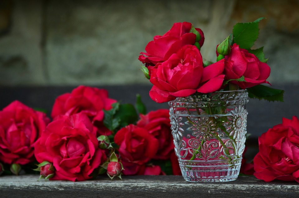 10 lucruri mai puțin cunoscute despre trandafiri