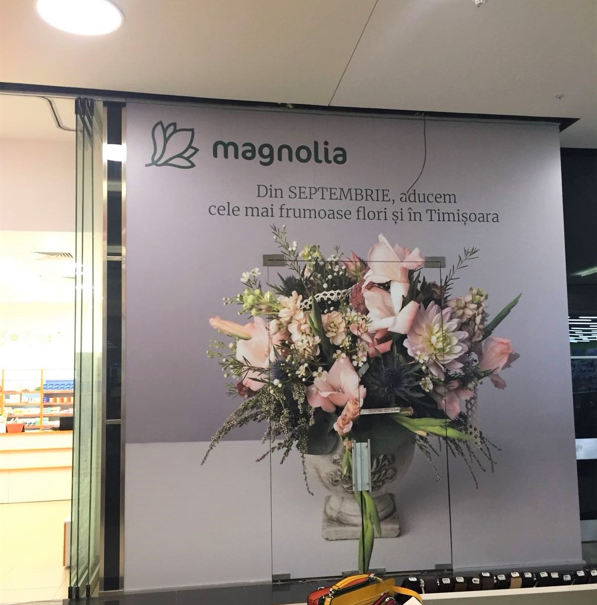 Magnolia deschide o nouă florărie în Timișoara