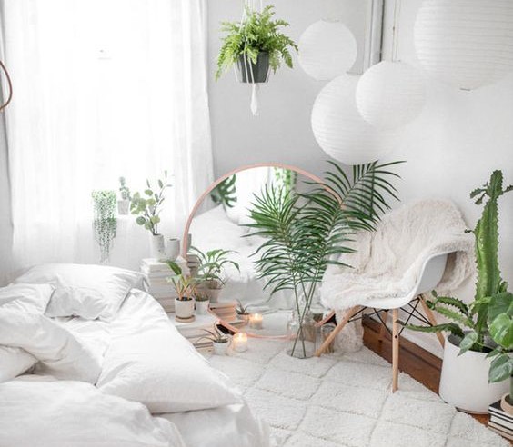 Plante în dormitor. Da sau nu?