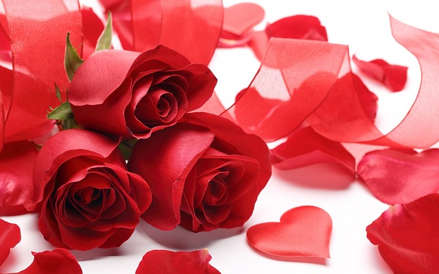 Top 5 flori cu care nu dai greș de Valentine’s Day