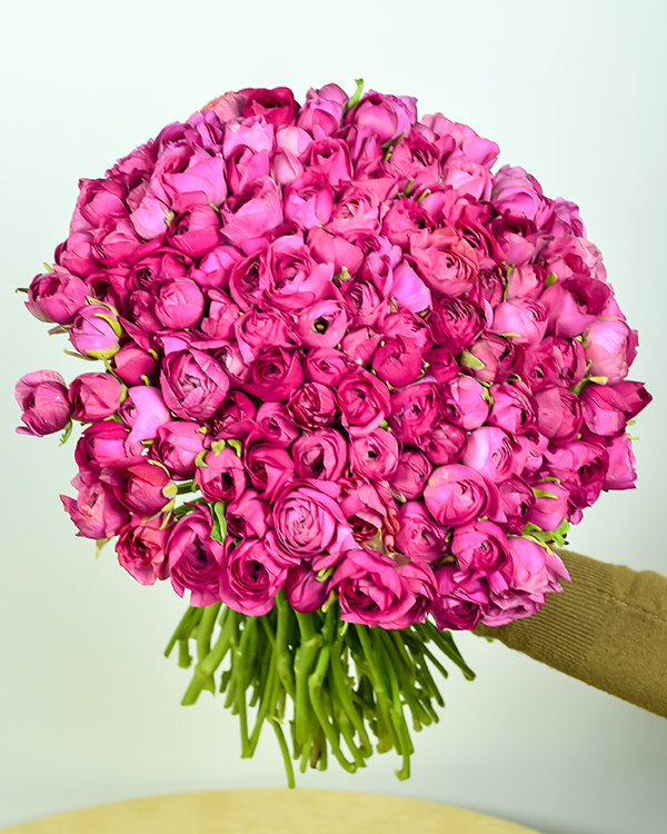 Buchet 131 ranunculus roz