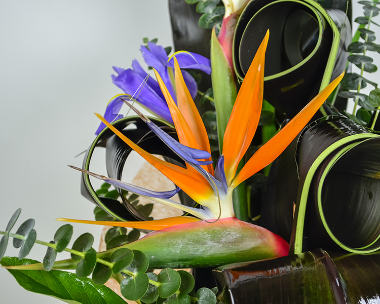 Buchet strelitzia şi irişi, decorat cu aralia şi cordyline