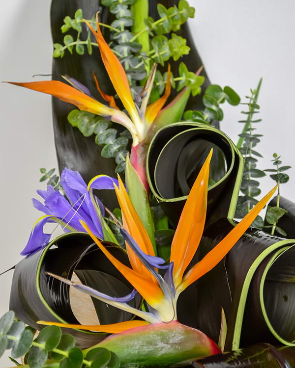 Buchet strelitzia şi irişi, decorat cu aralia şi cordyline