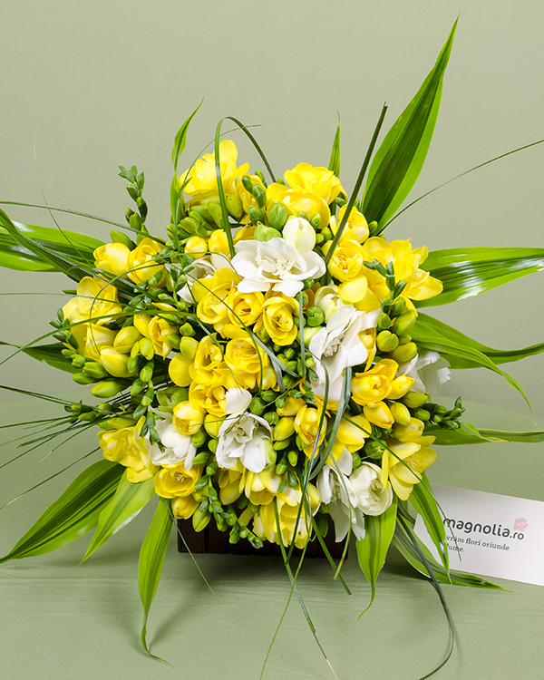 Buchet frezii albe, galbene și frunze decorative 