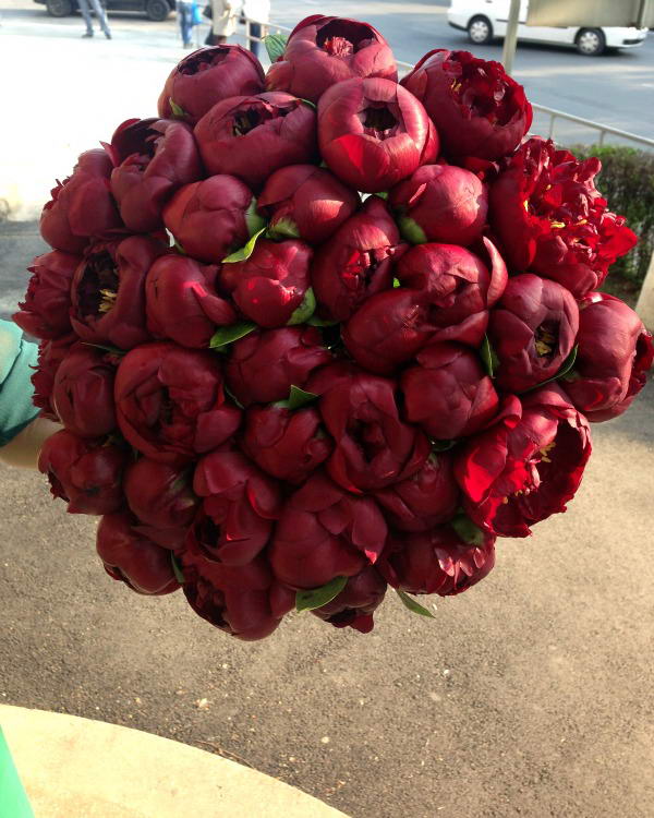 Bouquet with 37 dark brownished-red peonies