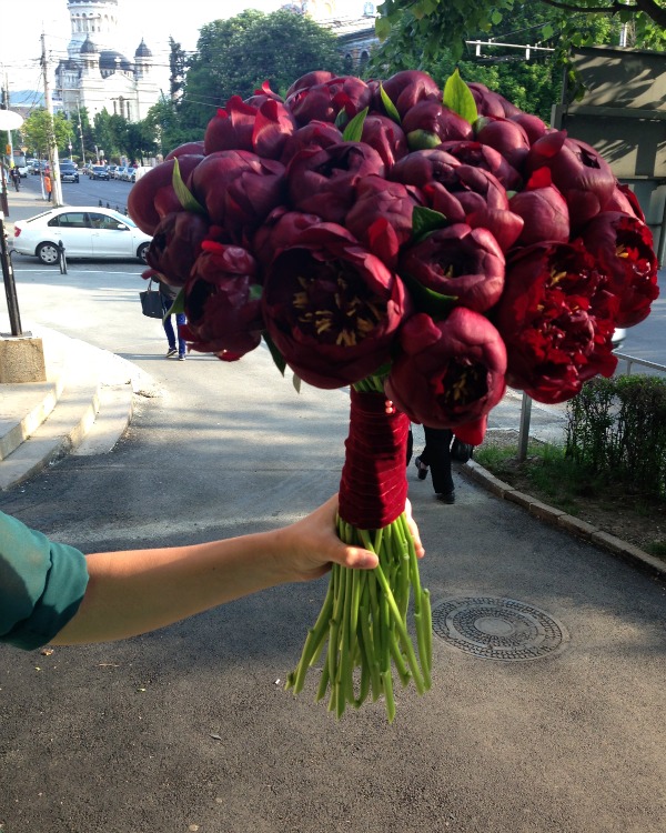 Bouquet with 37 dark brownished-red peonies