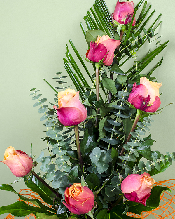 7 Bicolored roses bouquet with asparagus and Phoenix