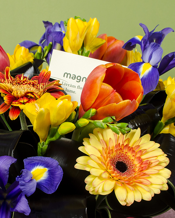 Mix bouquet with colored flowers 