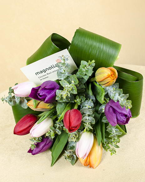 Buquet with 11 colored tulips, Aspidistra curls and eucalyptus 