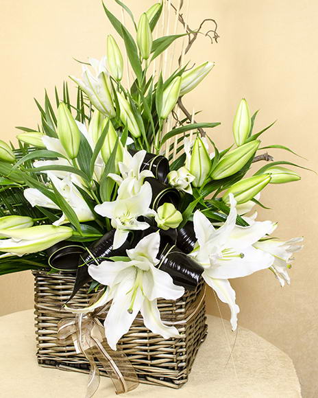 Arrangement with imperial white lilies