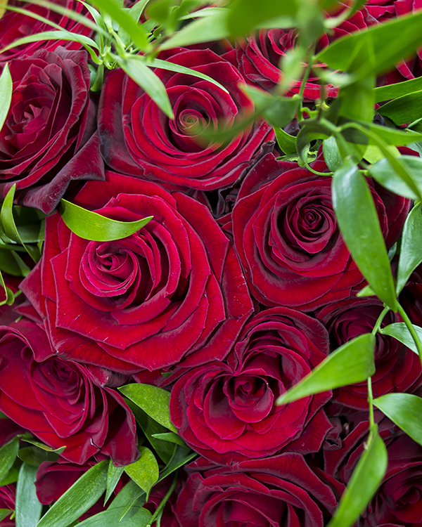 Buchet 39 trandafiri roşii 