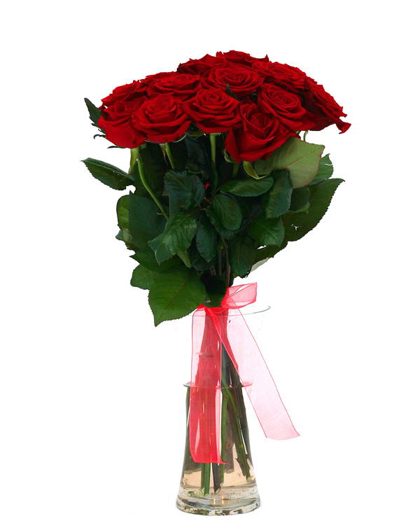 15 Red Roses