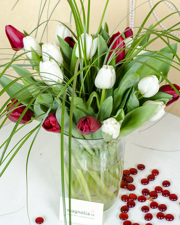 25 White and Red Tulips