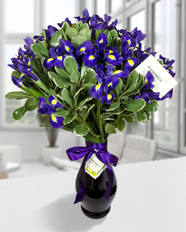 Irises and pittosporum bouquet
