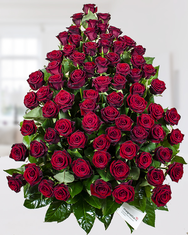 75 Red Roses Arrangement