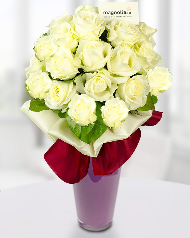 Buchet 25 trandafiri albi cu fundiţă din organza
