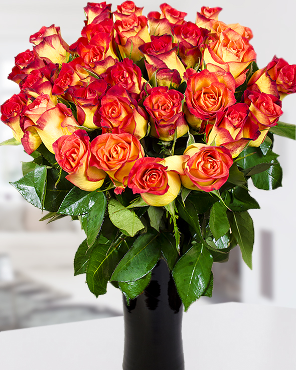 29 bicolored roses