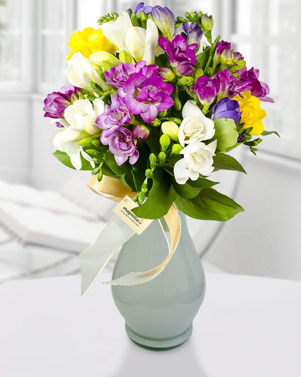 Bouquet of 25 colored freesias