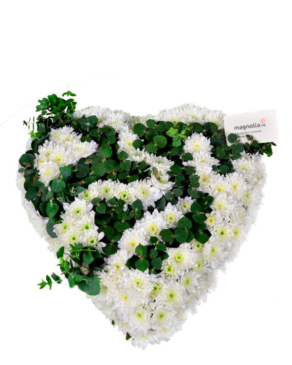 Chrysanthemums floral heart