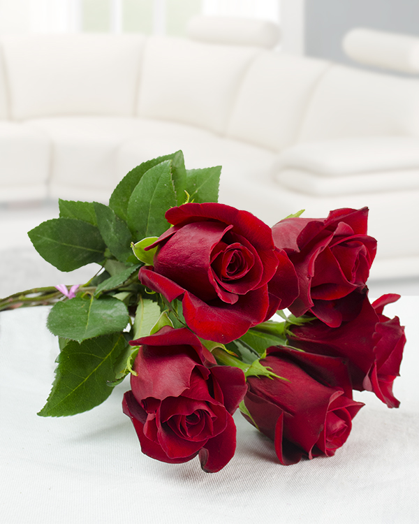 Buchet din cei mai frumoşi 5 trandafiri roşii