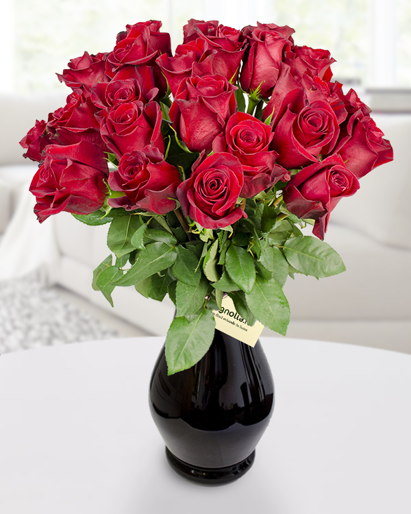 23 Red roses
