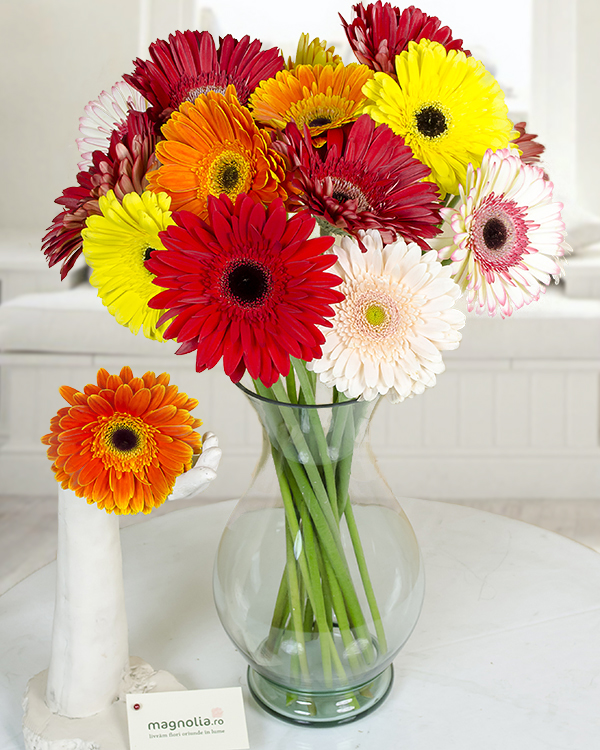 Bouquet with colorful gerbera