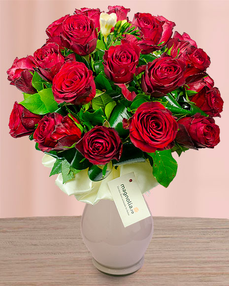 A white freesia in the middle of 26 red roses