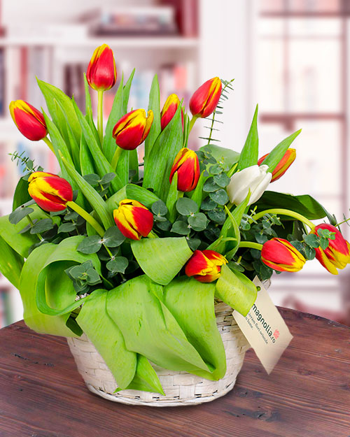 13 Tulips basket arrangement