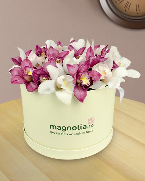 Box arrangement of cymbidium orchid