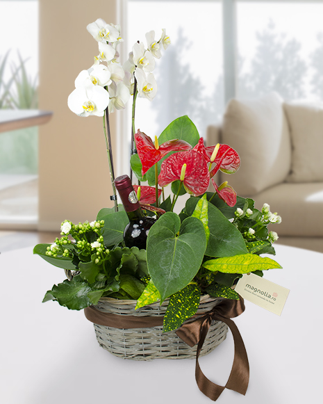 Arrangement with plants and red wine