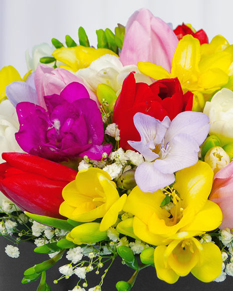 Box with freesias and tulips