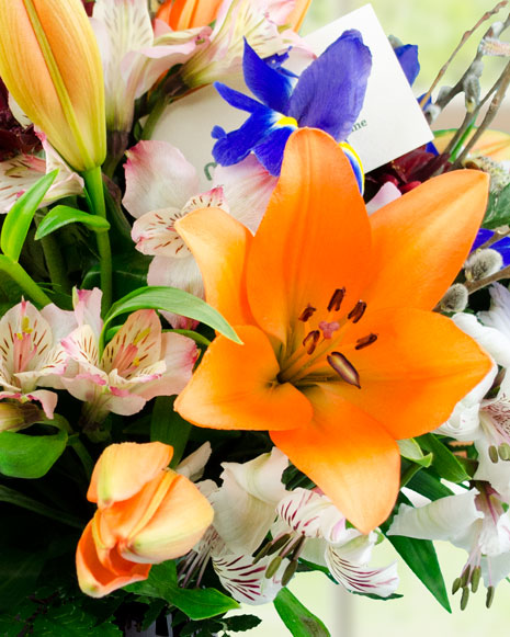 Buchet de Florii cu crini si irisi