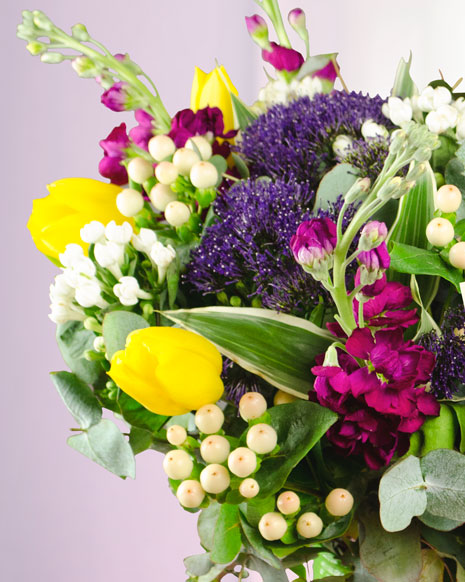 Bouquet of tulips and trachelium