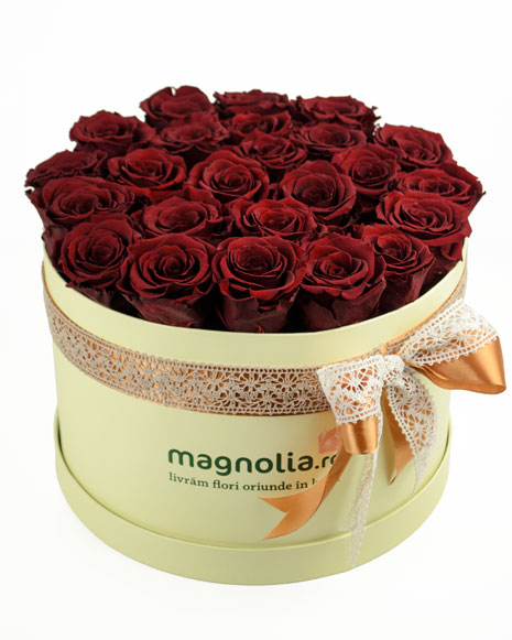 Box with 25 red preserved roses and champagne