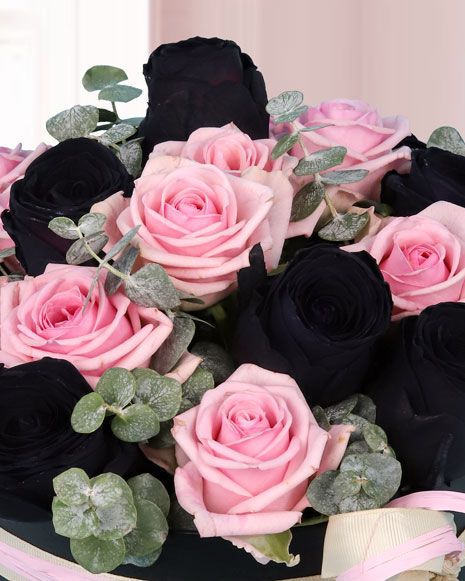Box arrangement of pink and black roses