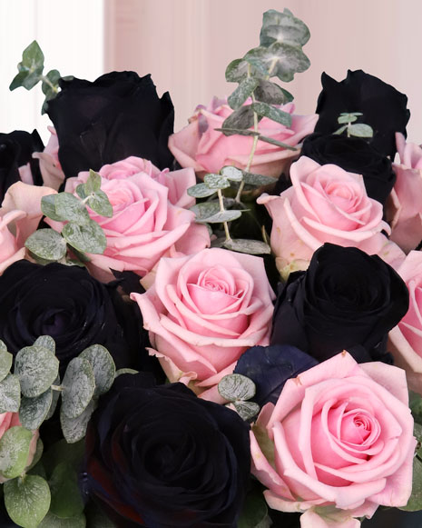 Box arrangement of pink and black roses