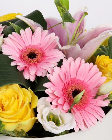 Box with eustoma and germinis