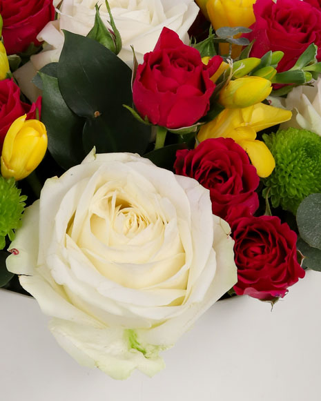 Box with white roses and freesias