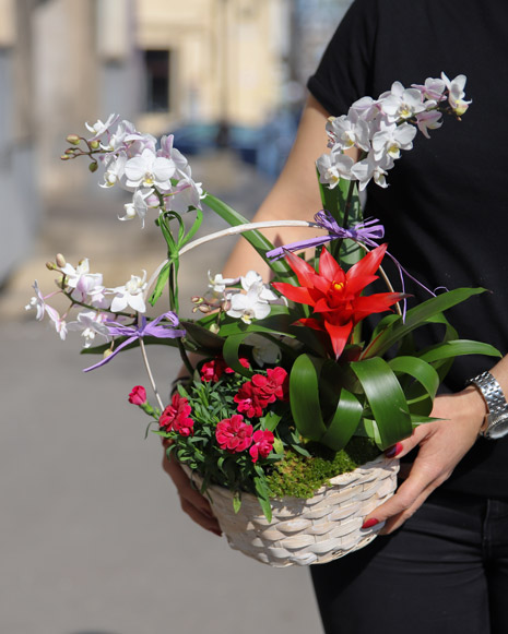 Basket arrangament with orchid