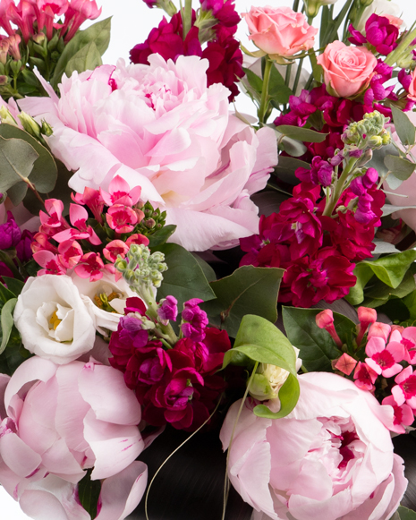 Bouquet of pink peonies