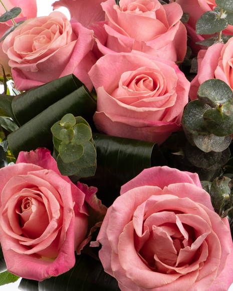 Flori de Dragobete - Buchet cu 19 Trandafiri Roz