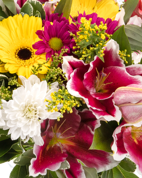 Bouquet gerbera and chrysanthemums 