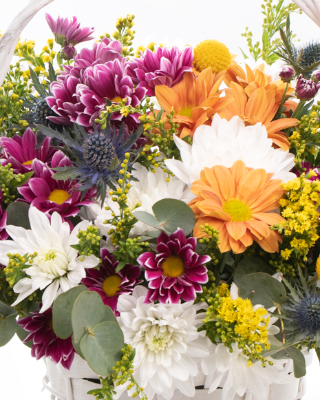 Basket with chrysanthemums and solidago